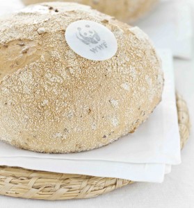 pane-panda