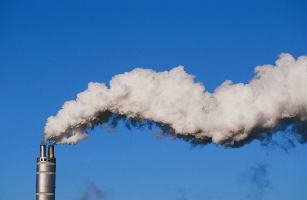 © Global Warming Images / WWF