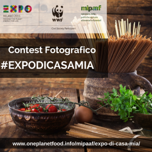 Contest Fotografico immagin lancio